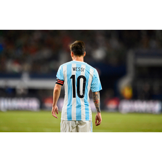 Panoramic Wallpaper - Wall Mural Football - Soccer Player