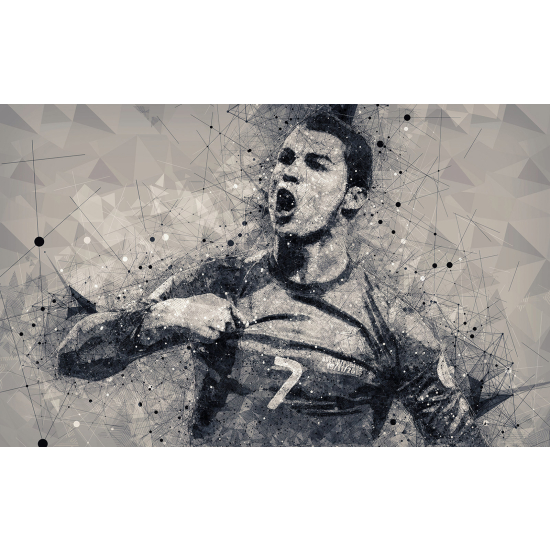 Panoramic Wallpaper - Wall Mural Football - Soccer Player