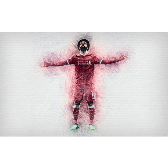 Panoramic Wallpaper - Wall Mural Football - Soccer Player