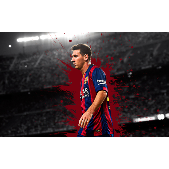 Panoramic Wallpaper - Wall Mural Football - Soccer Player