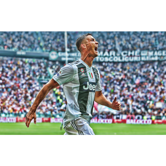 Panoramic Wallpaper - Wall Mural Football - Soccer Player