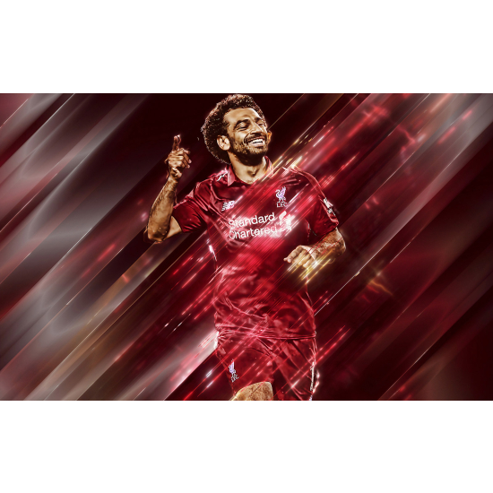 Panoramic Wallpaper - Wall Mural Football - Soccer Player