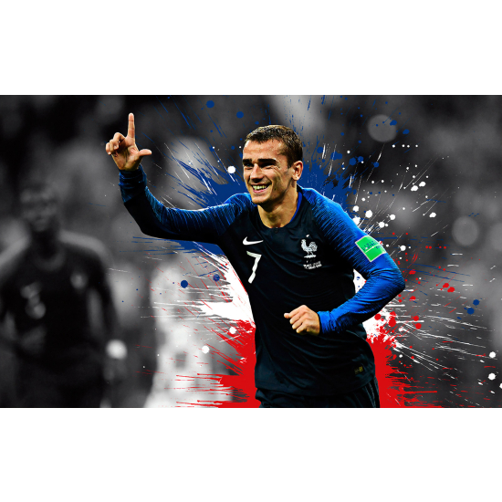 Panoramic Wallpaper - Wall Mural Football - Soccer Player