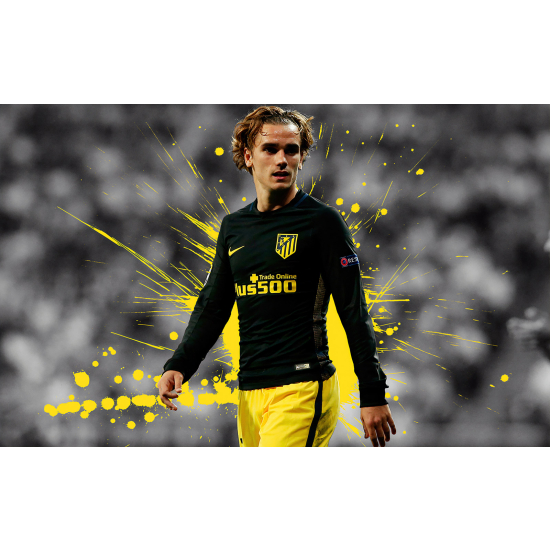 Panoramic Wallpaper - Wall Mural Football - Soccer Player