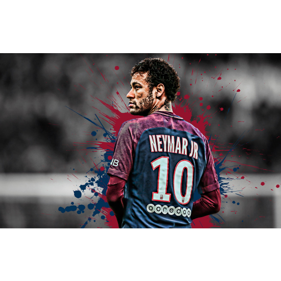 Panoramic Wallpaper - Wall Mural Football - Soccer Player