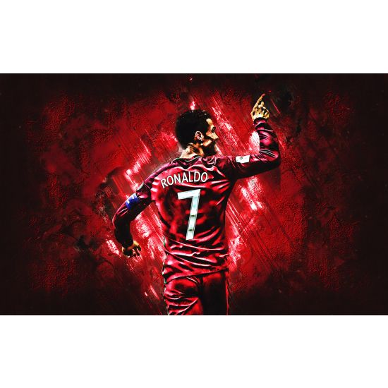 Panoramic Wallpaper - Wall Mural Football - Soccer Player