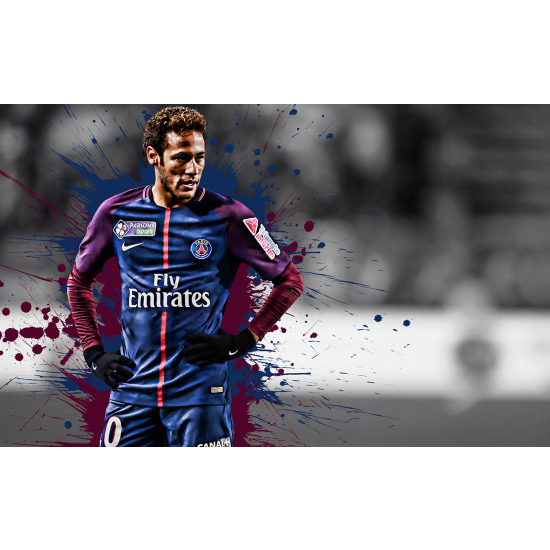 Panoramic Wallpaper - Wall Mural Football - Soccer Player