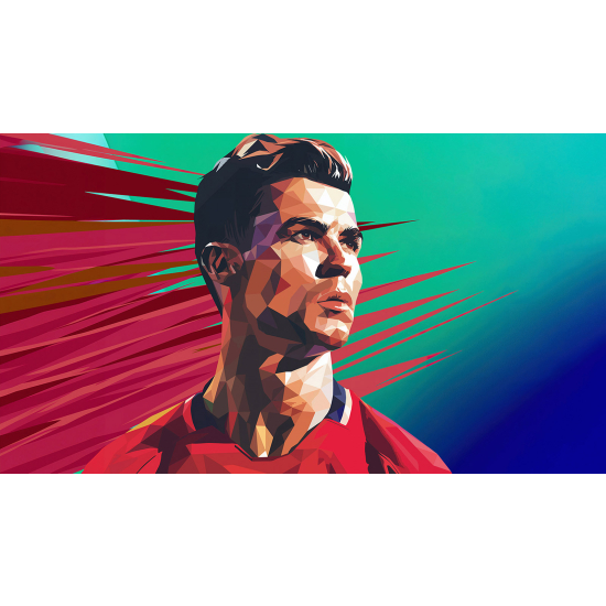 Panoramic Wallpaper - Wall Mural Football - Soccer Player