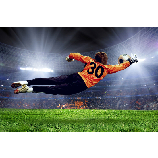 Panoramic Wallpaper - Wall Mural Football - Soccer Player