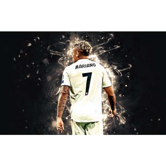 Panoramic Wallpaper - Wall Mural Football - Soccer Player