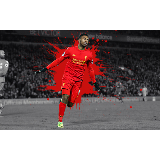 Panoramic Wallpaper - Wall Mural Football - Soccer Player