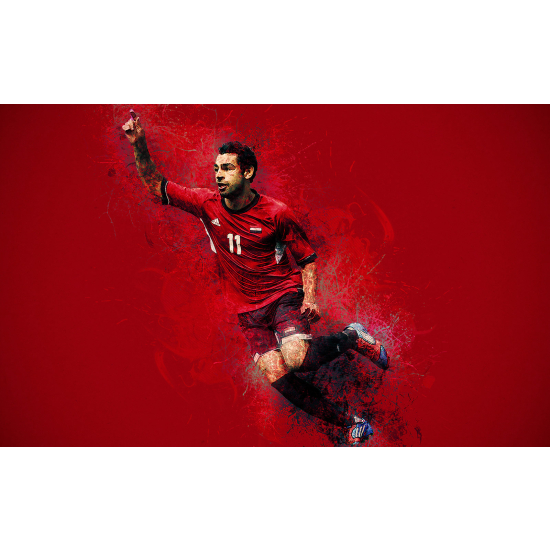 Panoramic Wallpaper - Wall Mural Football - Soccer Player