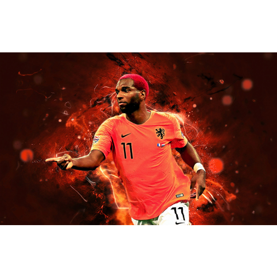 Panoramic Wallpaper - Wall Mural Football - Soccer Player