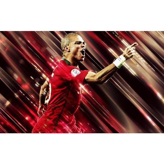 Panoramic Wallpaper - Wall Mural Football - Soccer Player