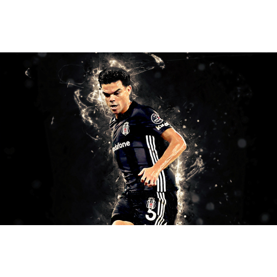 Panoramic Wallpaper - Wall Mural Football - Soccer Player