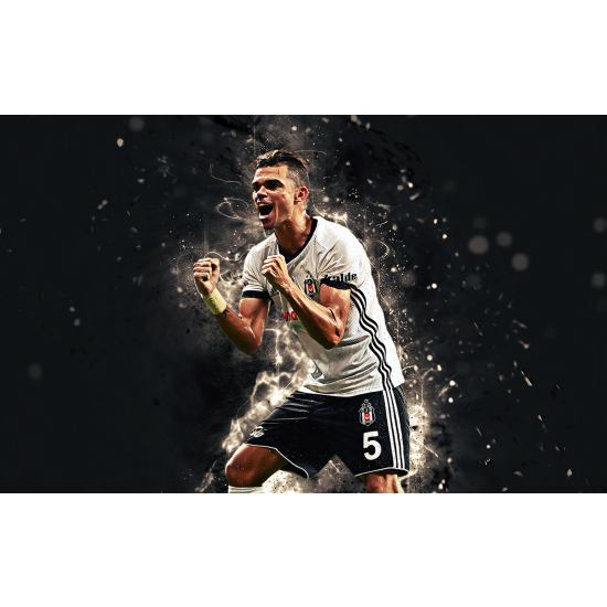 Panoramic Wallpaper - Wall Mural Football - Soccer Player