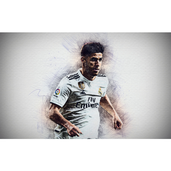 Panoramic Wallpaper - Wall Mural Football - Soccer Player