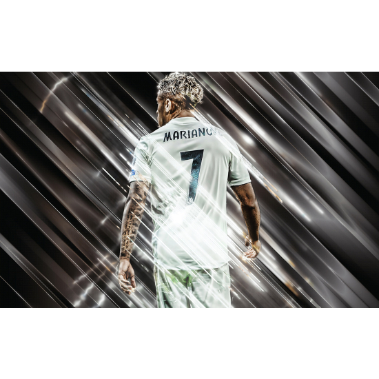 Panoramic Wallpaper - Wall Mural Football - Soccer Player