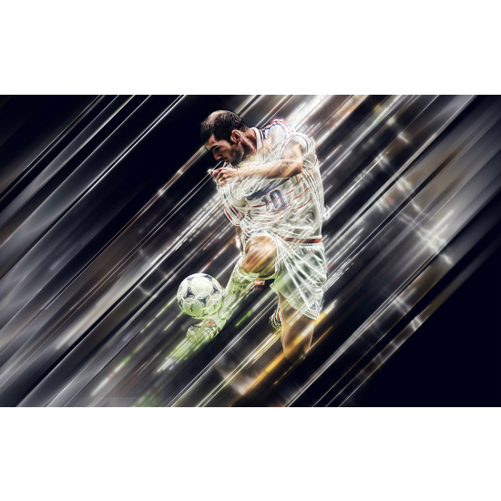 Panoramic Wallpaper - Wall Mural Football - Soccer Player