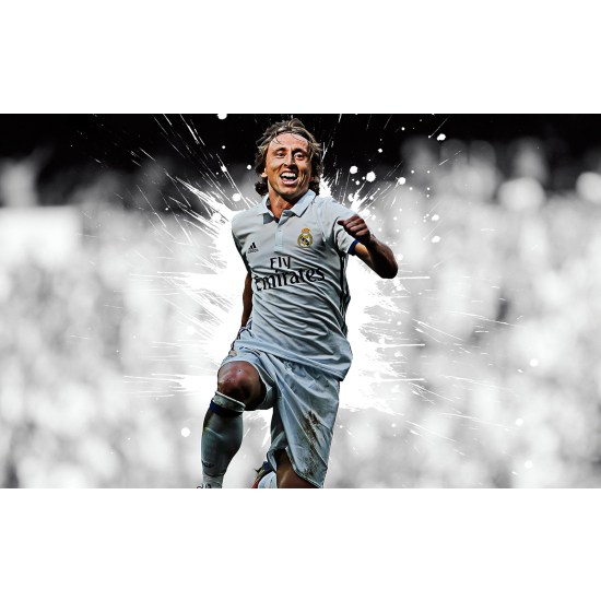 Panoramic Wallpaper - Wall Mural Football - Soccer Player