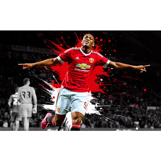 Panoramic Wallpaper - Wall Mural Football - Soccer Player