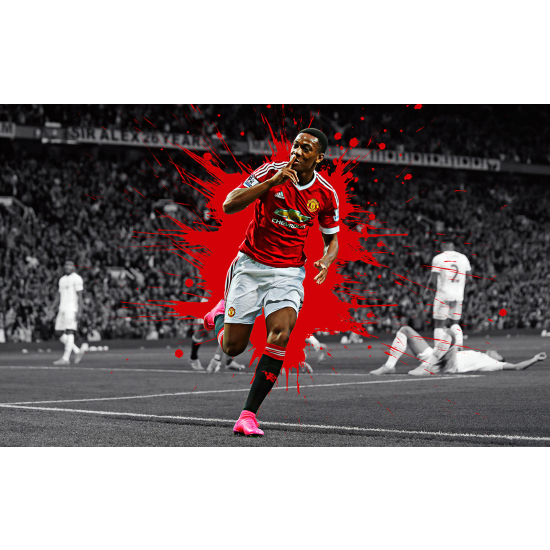 Panoramic Wallpaper - Wall Mural Football - Soccer Player