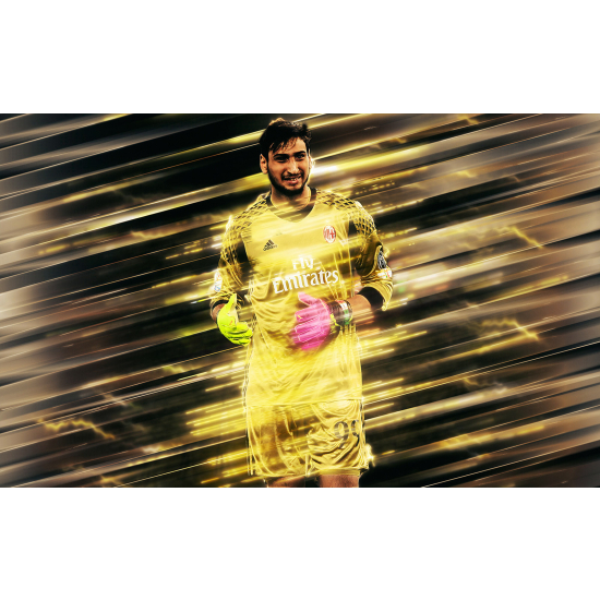 Panoramic Wallpaper - Wall Mural Football - Soccer Player