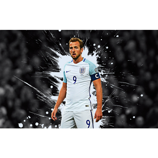 Panoramic Wallpaper - Wall Mural Football - Soccer Player