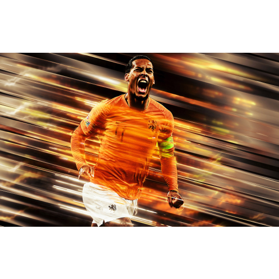 Panoramic Wallpaper - Wall Mural Football - Soccer Player