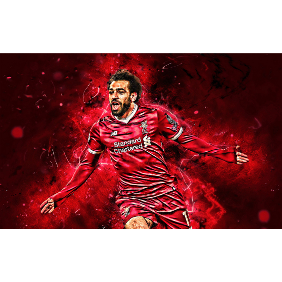 Panoramic Wallpaper - Wall Mural Football - Soccer Player