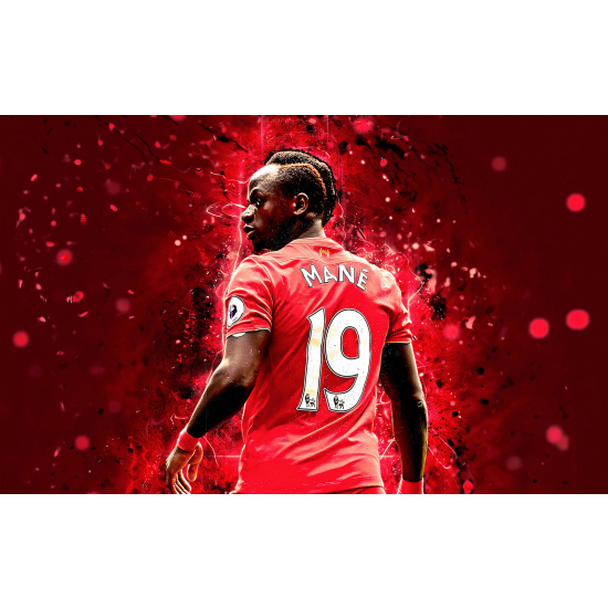 Panoramic Wallpaper - Wall Mural Football - Soccer Player