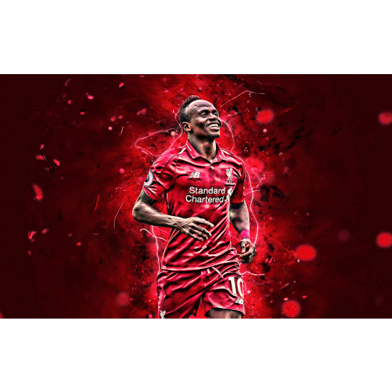 Panoramic Wallpaper - Wall Mural Football - Soccer Player