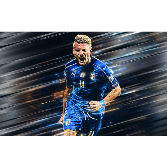 Panoramic Wallpaper - Wall Mural Football - Soccer Player