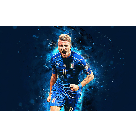 Panoramic Wallpaper - Wall Mural Football - Soccer Player