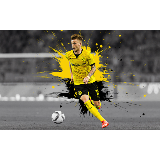 Panoramic Wallpaper - Wall Mural Football - Soccer Player