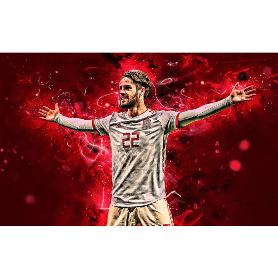 Panoramic Wallpaper - Wall Mural Football - Soccer Player