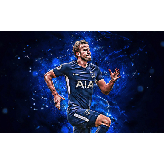 Panoramic Wallpaper - Wall Mural Football - Soccer Player