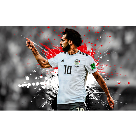 Panoramic Wallpaper - Wall Mural Football - Soccer Player