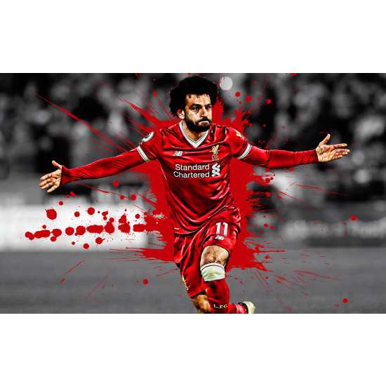 Panoramic Wallpaper - Wall Mural Football - Soccer Player