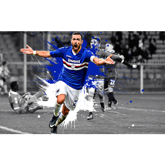 Panoramic Wallpaper - Wall Mural Football - Soccer Player