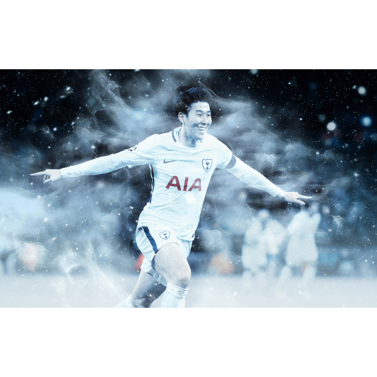 Panoramic Wallpaper - Wall Mural Football - Soccer Player