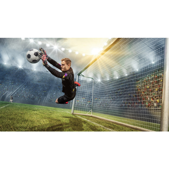 Panoramic Wallpaper - Wall Mural Football - Soccer Player