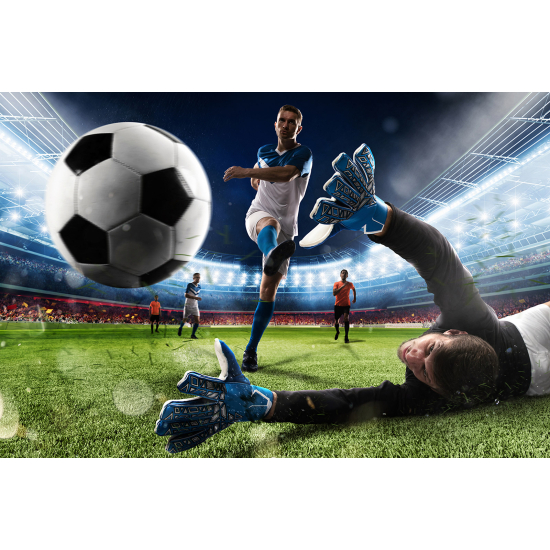 Panoramic Wallpaper - Wall Mural Football - Soccer Player