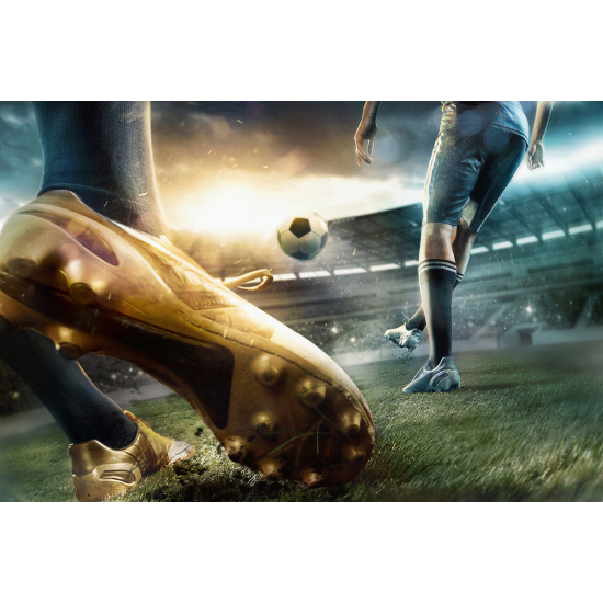 Panoramic Wallpaper - Wall Mural Football - Soccer Player