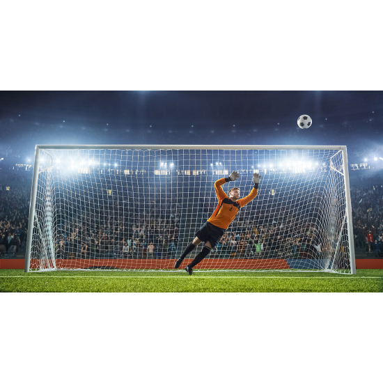 Panoramic Wallpaper - Wall Mural Football - Soccer Player