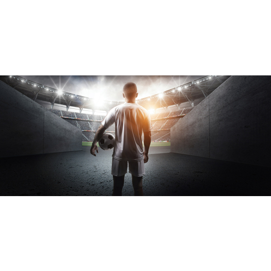 Panoramic Wallpaper - Wall Mural Football - Soccer Player