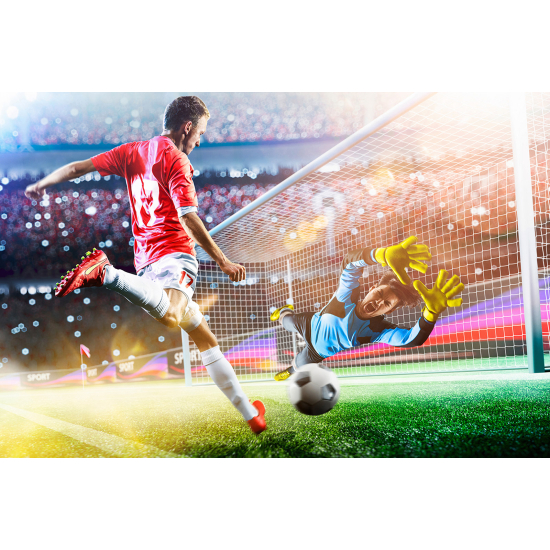 Panoramic Wallpaper - Wall Mural Football - Soccer Player