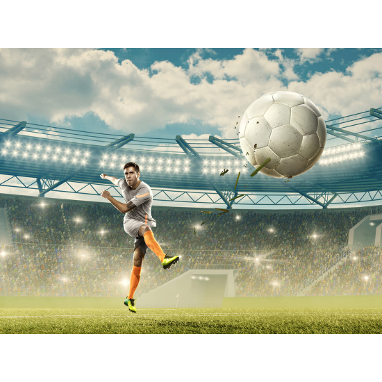 Panoramic Wallpaper - Wall Mural Football - Soccer Player