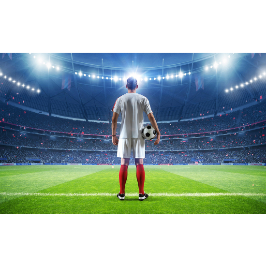 Panoramic Wallpaper - Wall Mural Football - Soccer Player