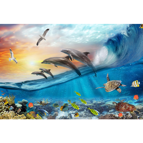 Panoramic Wallpaper - Wall Mural for Children - Dolphins